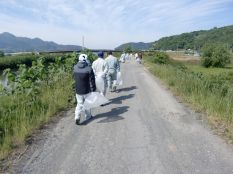 『馬淵川クリーン作戦2016』名川地区　地域清掃活動