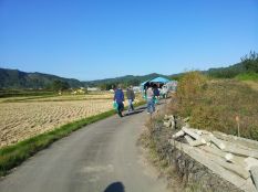 『馬淵川クリーン作戦2012』南部地区 地域清掃活動 『馬淵川クリーン作戦2012』南部地区 地域清掃活動